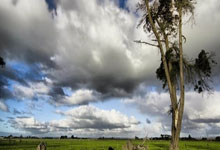 ng28:每日邮报:福登遭受精神和身体问题困扰 丧失自信导致状态下滑.