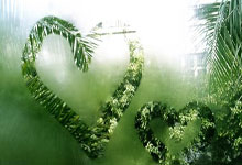 于大宝:年的今天-韩国,年后我们再次击败韩国.