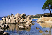 ATP迈阿密大师赛:德约完胜穆塞蒂强势晋级八强.